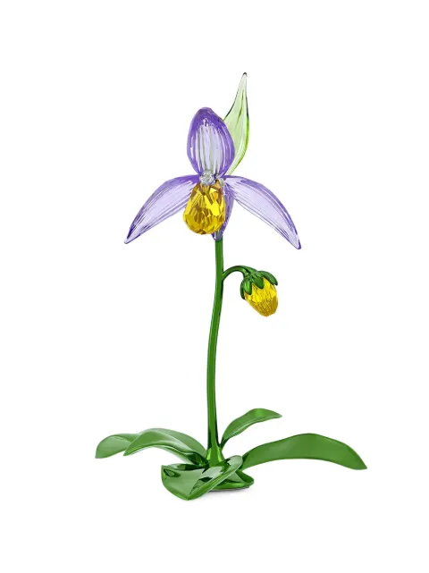 Swarovski Florere Lady Slipper orchid home decor Green 5721548