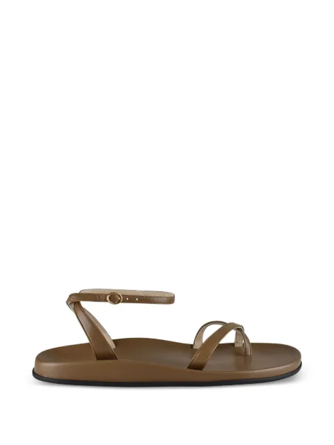 The Row ankle-strap sandals Brown F1622SN65MUD