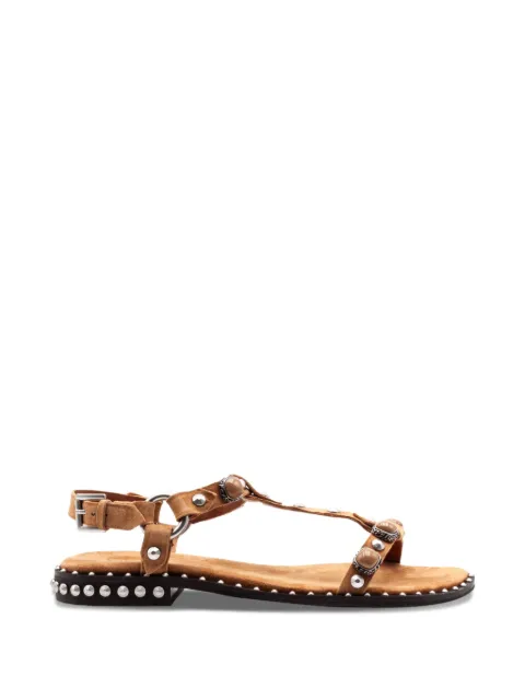 Ash Podium studded sandals Brown PODIUM03MOKA