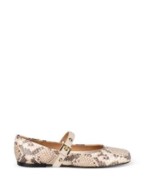 STATUS reptile buckle ballet flats Neutrals O4200DIAMANTEEVERESTSTAMPARETTILE