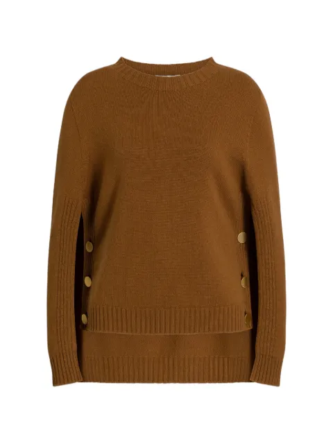 Alberta Ferretti buttoned sweater Brown AEF262U09086603