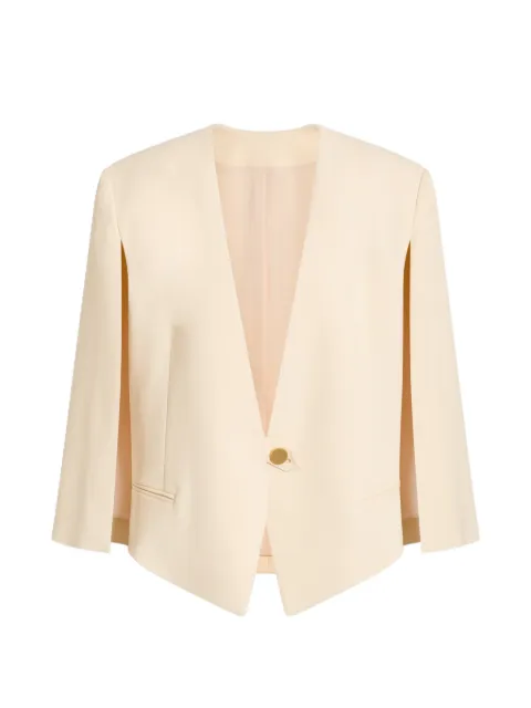 Alberta Ferretti V-neck single-breasted blazer Neutrals AEF262U05066634