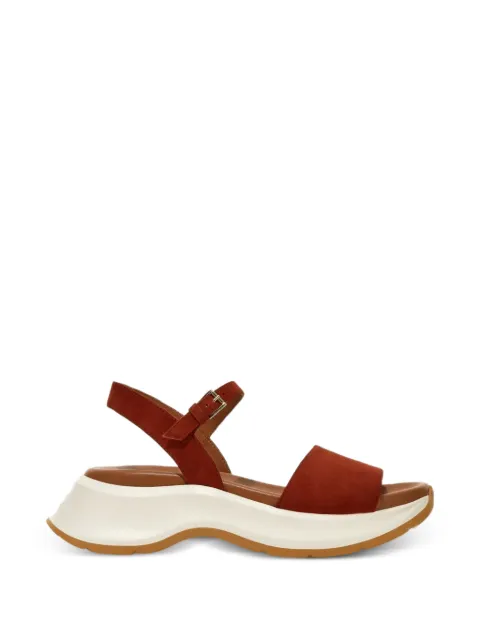 Hogan buckle strap sandals Brown HXW5980EB50CR0