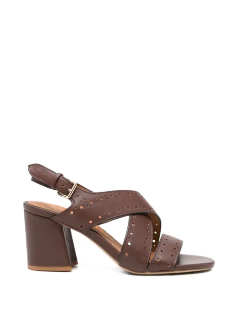 Bruno Premi criss-cross perforated sandals Brown BN4604X