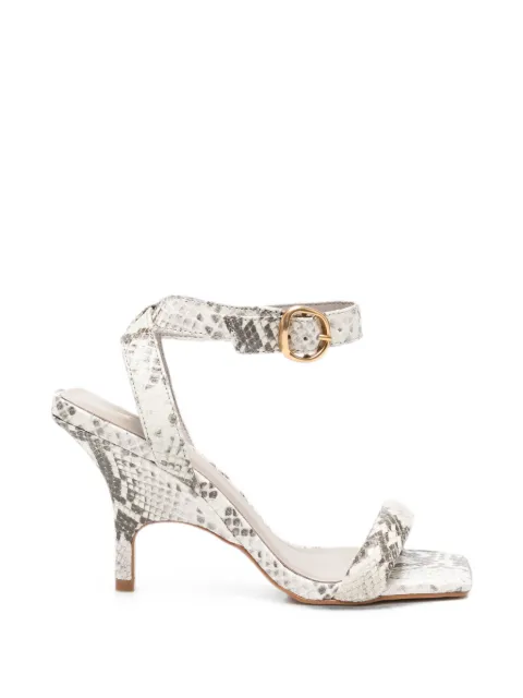 CARRANO snake-effect buckle-fastening sandals Neutrals 539009