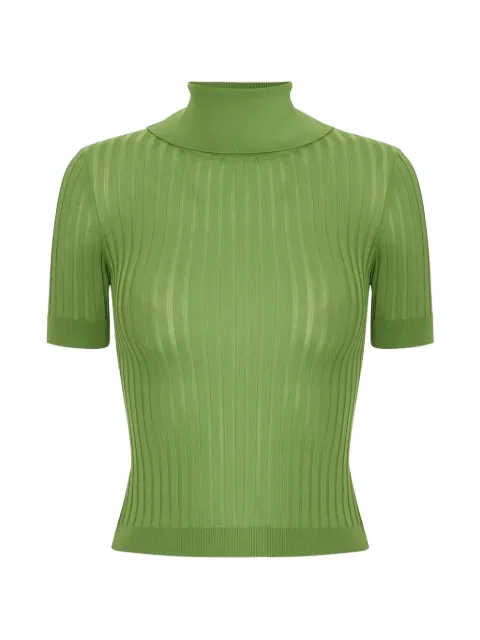 Elisabetta Franchi sheer knit top Green MK01S62E2