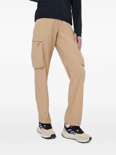 Columbia Boundless Trek cargo pants Neutrals 2073011