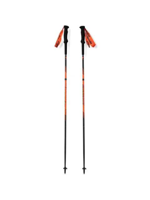 DYNAFIT logo-print foldable trekking poles Black 80000049458