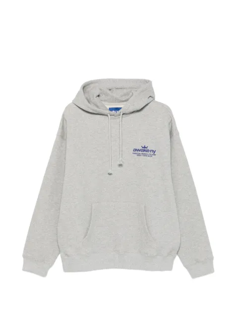 Awake NY Good Everywhere logo hoodie Grey AWKSP26HD001