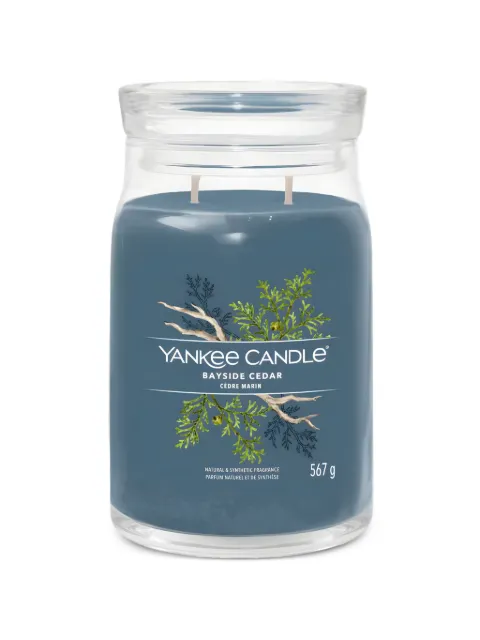 yankee candle large Bayside Cedar candle Blue 1629980E