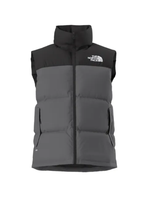 The North Face retro nuptse vest Grey NF0A3JQQRPI