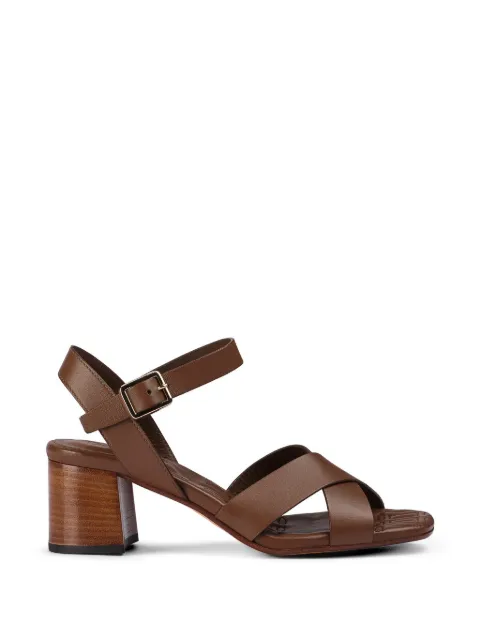 Doucal's leather sandals Brown DD8884DAISUF073MM03