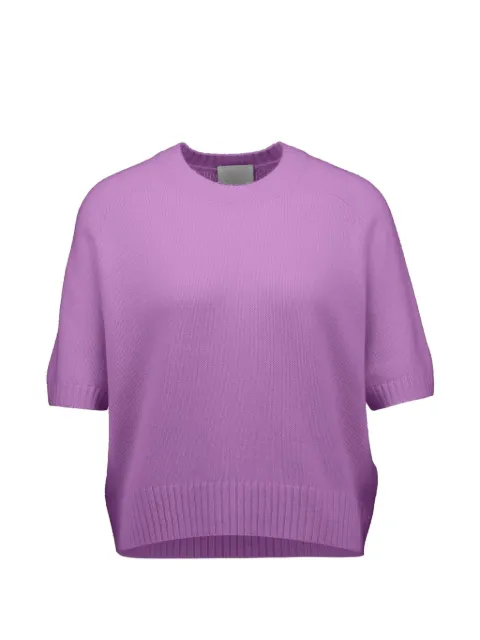 Allude short-sleeve cashmere sweater Purple 26211152