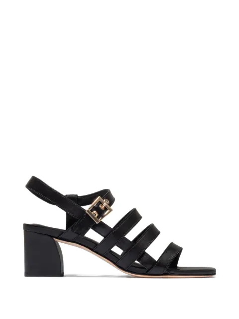 Bernardo Novi strappy buckle sandals Black NOVI