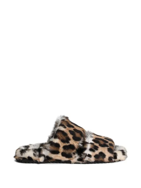 Dolce & Gabbana leopard-print slippers Brown CQ0712A0081