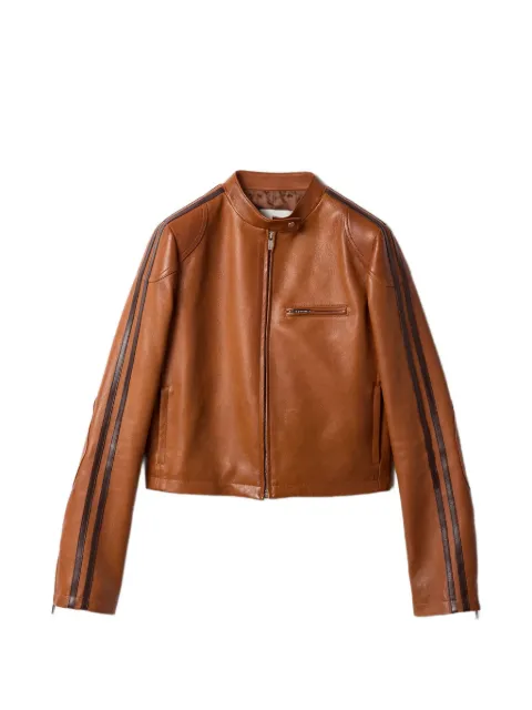 Miu Miu stand-up collar stripe jacket Brown MPW008SOOO19BX
