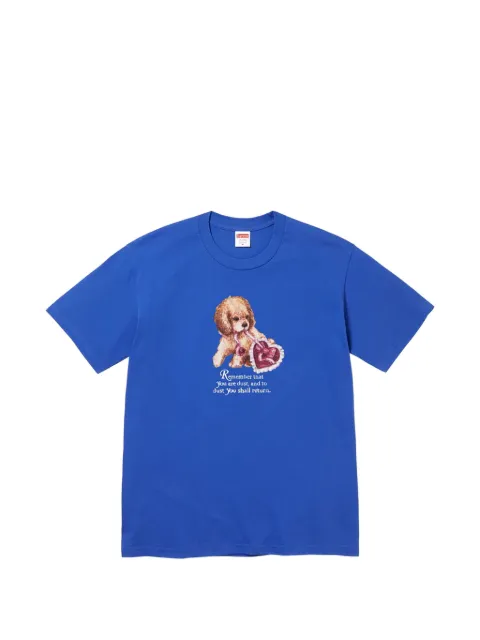 Supreme Dust graphic-print T-shirt Blue SU26815