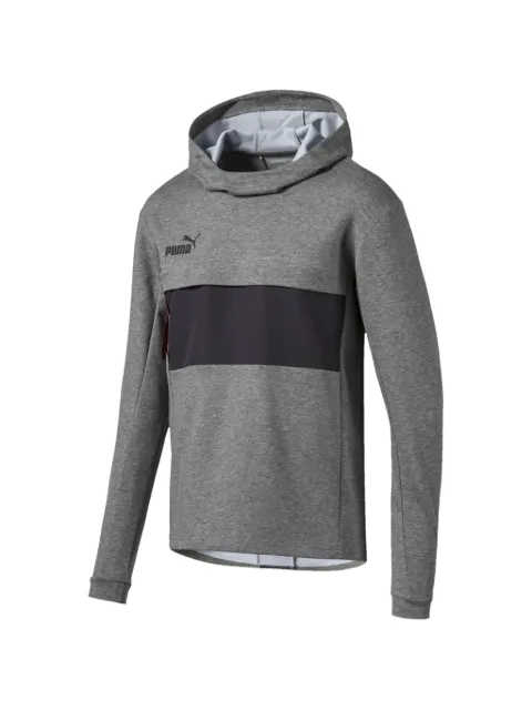PUMA FtblNXT Casuals hoodie Grey 65645201