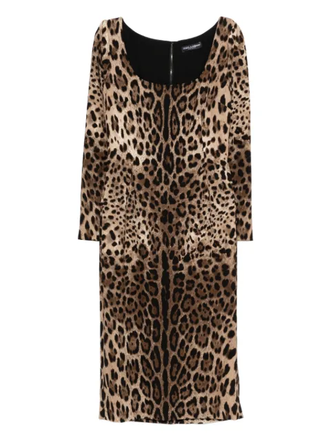 Dolce & Gabbana animal-print dress Brown F6TYGTFSRKI