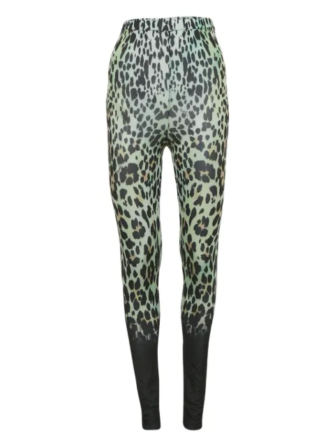 Roberto Cavalli Vintage animal-print leggings Green 1211473