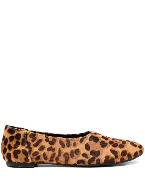 Senso Casey ballet flats Brown CASEYJAGUAR