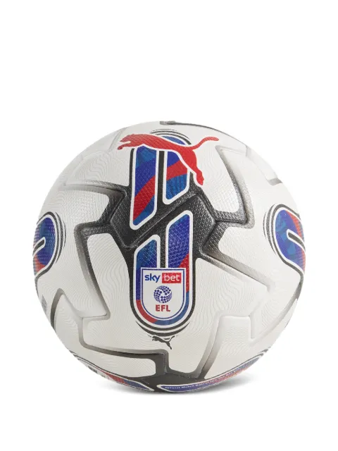 PUMA ORBITA 1 EFL SKY BET (FIFA QUALITY PRO) football White 08412101
