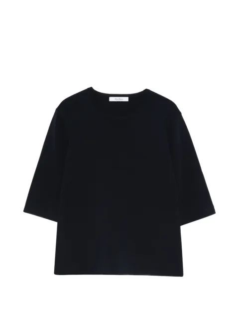 Max Mara Mxpfaida round-neck short-sleeve top Blue 2611361028600
