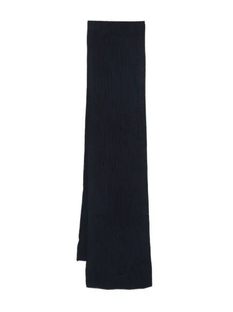 Karl Lagerfeld logo-embroidered scarf Blue 8056880824134