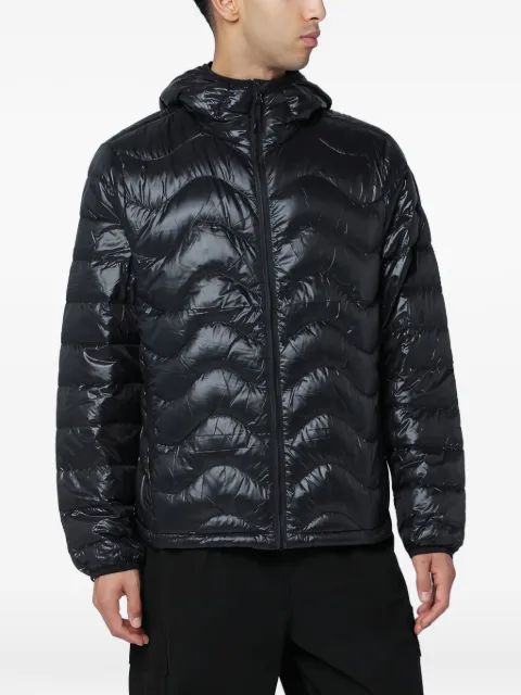 PURPLE MOUNTAIN OBSERVATOR hooded quilted jacket Black PMO0113NY