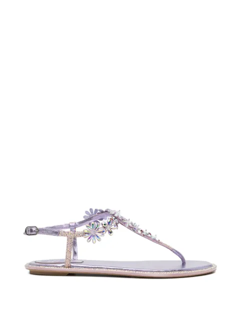 René Caovilla Diana sandals Purple C12688010RN01V543