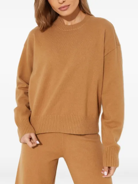 Yves Salomon round-neck sweater Brown 24W23WYH51355MAXWA2202