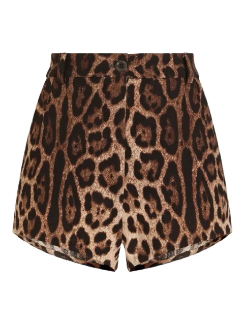 Dolce & Gabbana leopard-print shorts Brown FTDCJTFS2A3