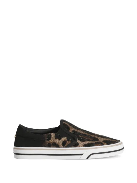 Dolce & Gabbana DG Sailing sneakers in printed canvas Black CK2413A6N75