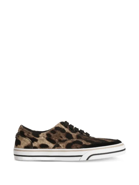 Dolce & Gabbana DG Sailing sneakers in printed canvas Brown CK2399AZ792