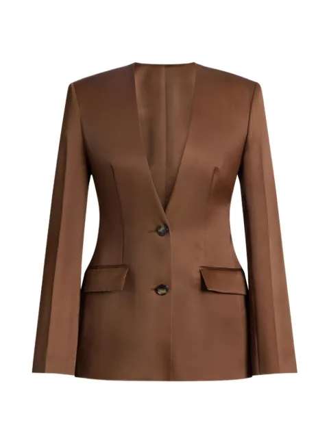 Alberta Ferretti button jacket Brown AEF261M05100119