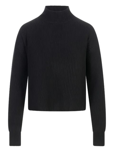 Max Mara ribbed funnel-neck sweater Black 2526366022600