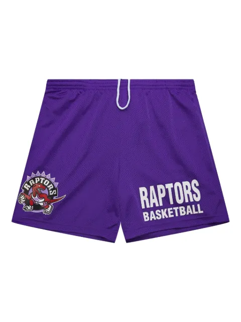 Mitchell & Ness NBA raptors mesh logo shorts Purple PSHR6914TRAYYPPPPURP