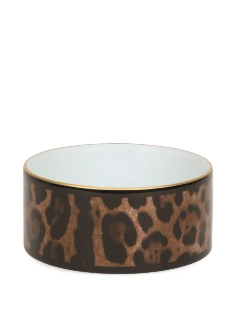 Dolce & Gabbana decorated leopard-print box Brown TCC200TCAMU
