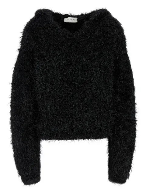 Sportmax long-sleeve V-neck sweater Black 2422366202600