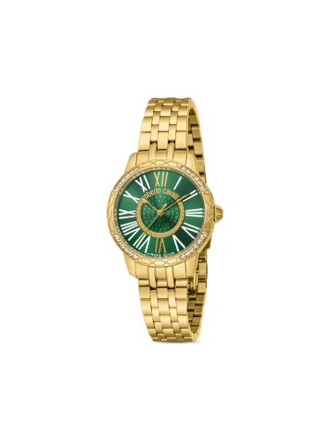 Roberto Cavalli stainless steel quartz 30mm Green TALG07IG246