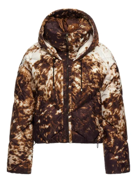 Roberto Cavalli appaloosa-print puffer jacket Brown TKT802SRN08