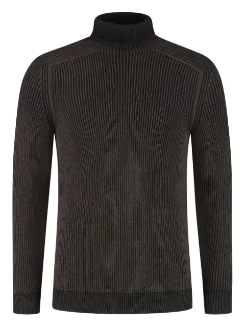 Sease Dinghy ribbed turtleneck sweater Brown KT030XG006X88