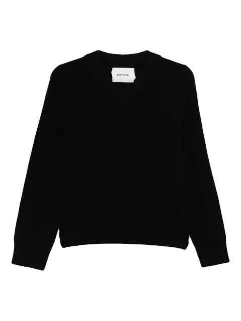 Soft Goat V-neck sweater Black FW2524589