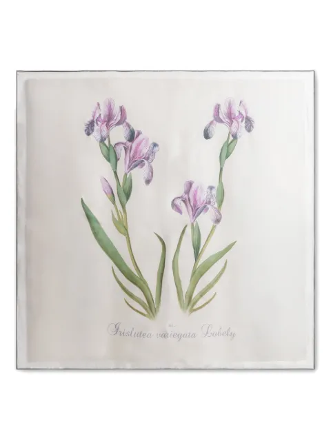 Alberta Ferretti floral silk scarf Neutrals AEF261U33031670