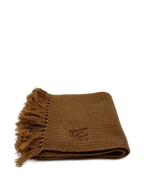 Valentino Garavani fringed logo-detail scarf Brown WET01LQJY
