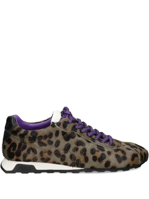 Ash leopard-print lace-up sneakers Brown KILLBILL150991