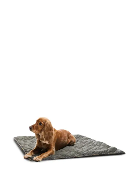 Barbour quilted tartan-trim dog blanket Green DAC0118OL71