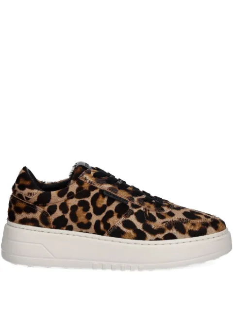Copenhagen leopard-print sneakers Brown CPH77