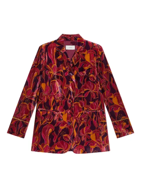 MALIPARMI floral velvet blazer Red JD647161052