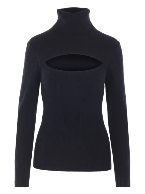 Allude ribbed turtleneck sweater Black 2551772190